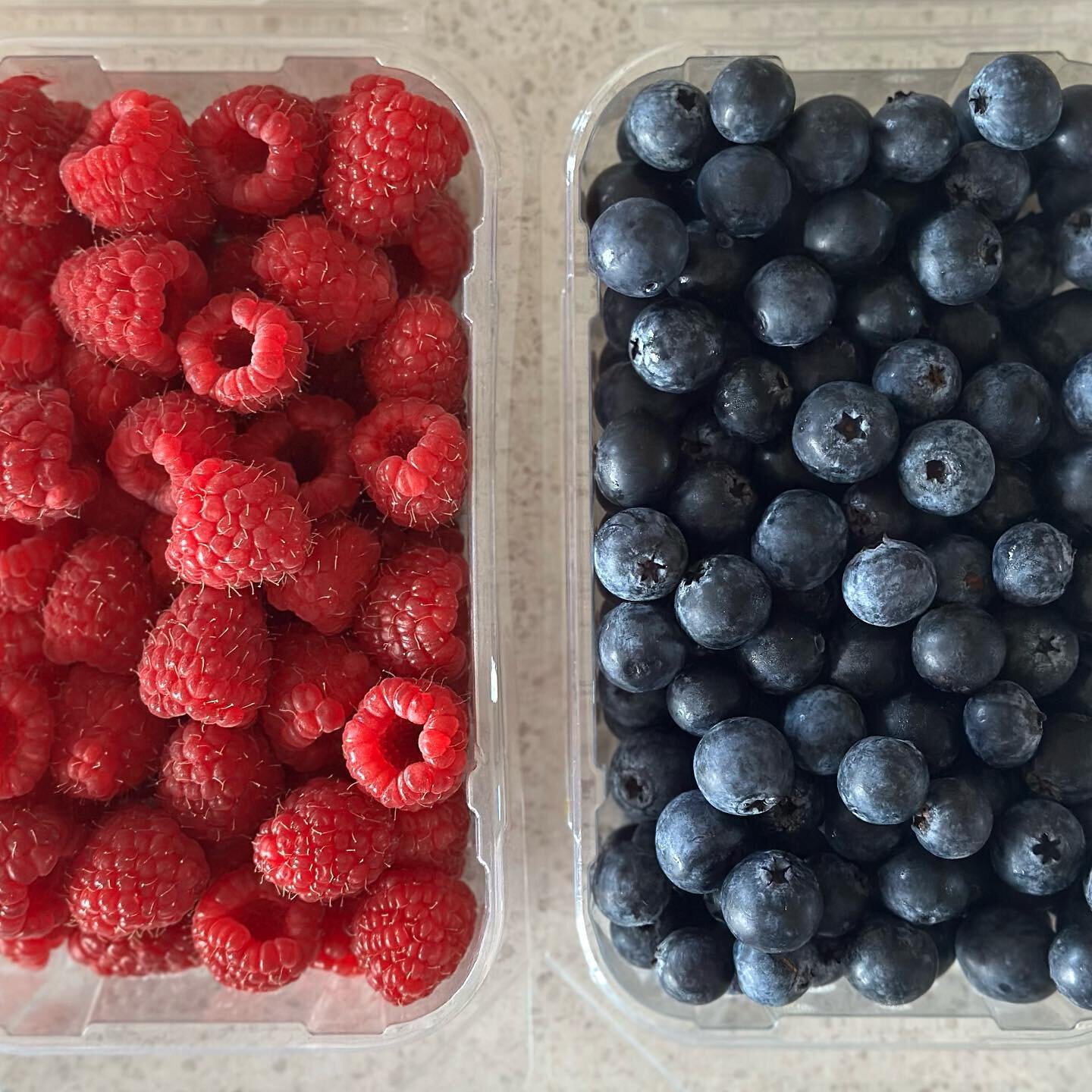 Making the most of the long Hawke&rsquo;s Bay berry season with a trip to @bayblueberries 🫐 to grab raspberries &amp; blueberries 🫐 #bayblueberries #blueberries #raspberries #eatinseason #buylocal #hawkesbaynz #hastingsnz #foodwriter #foodblogger #