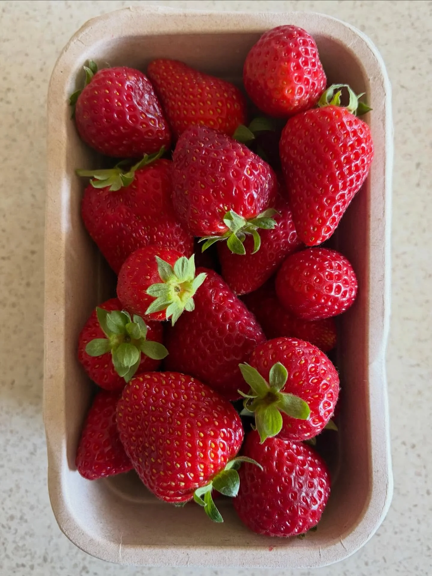 Tastes of summer 🍓🍓🍓

@bayblueberries 🍓🫐🍦☕️☀️

#eatdrinkhawkesbay #foodwriter #foodblogger #foodphotographer #thefoodieinc