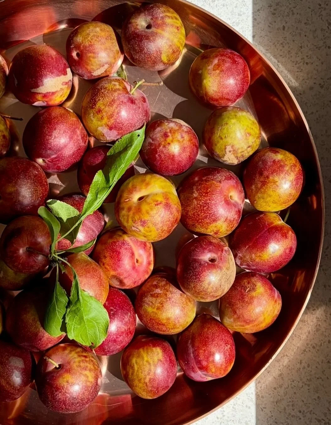 The perfect thank you 🙏 freshly picked omega plums&hellip; now to decide what to make!

#eatdrinkhawkesbay #eatdrinkaotearoa #thefoodieinc