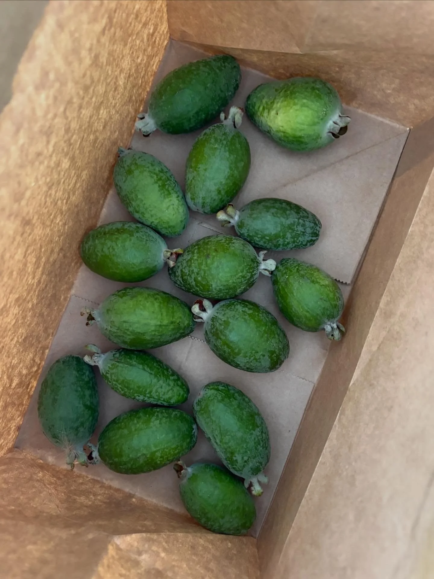 Love 🧡 them or loathe 🤨 them

Feijoa madness is happening in Hawke&rsquo;s Bay&hellip; with people giving them away by the boxful!

Grabbed a dozen or so from the local community stand this morning 🧡 and will definitely be back for more!

#eatdrin
