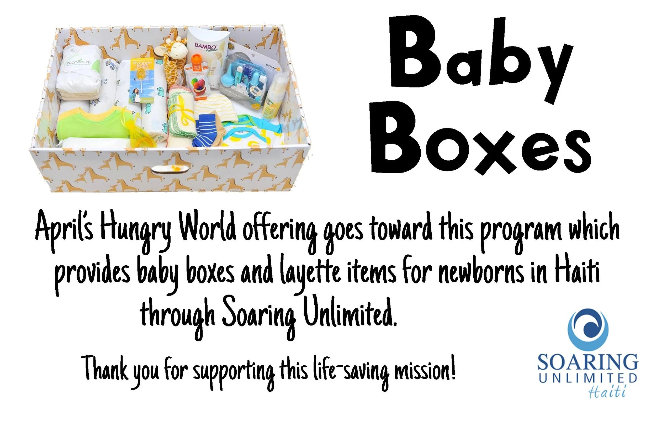 2026 baby boxes reg.jpg