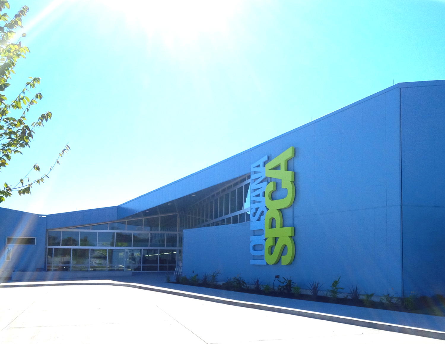 Louisiana SPCA Phase Two Interiors