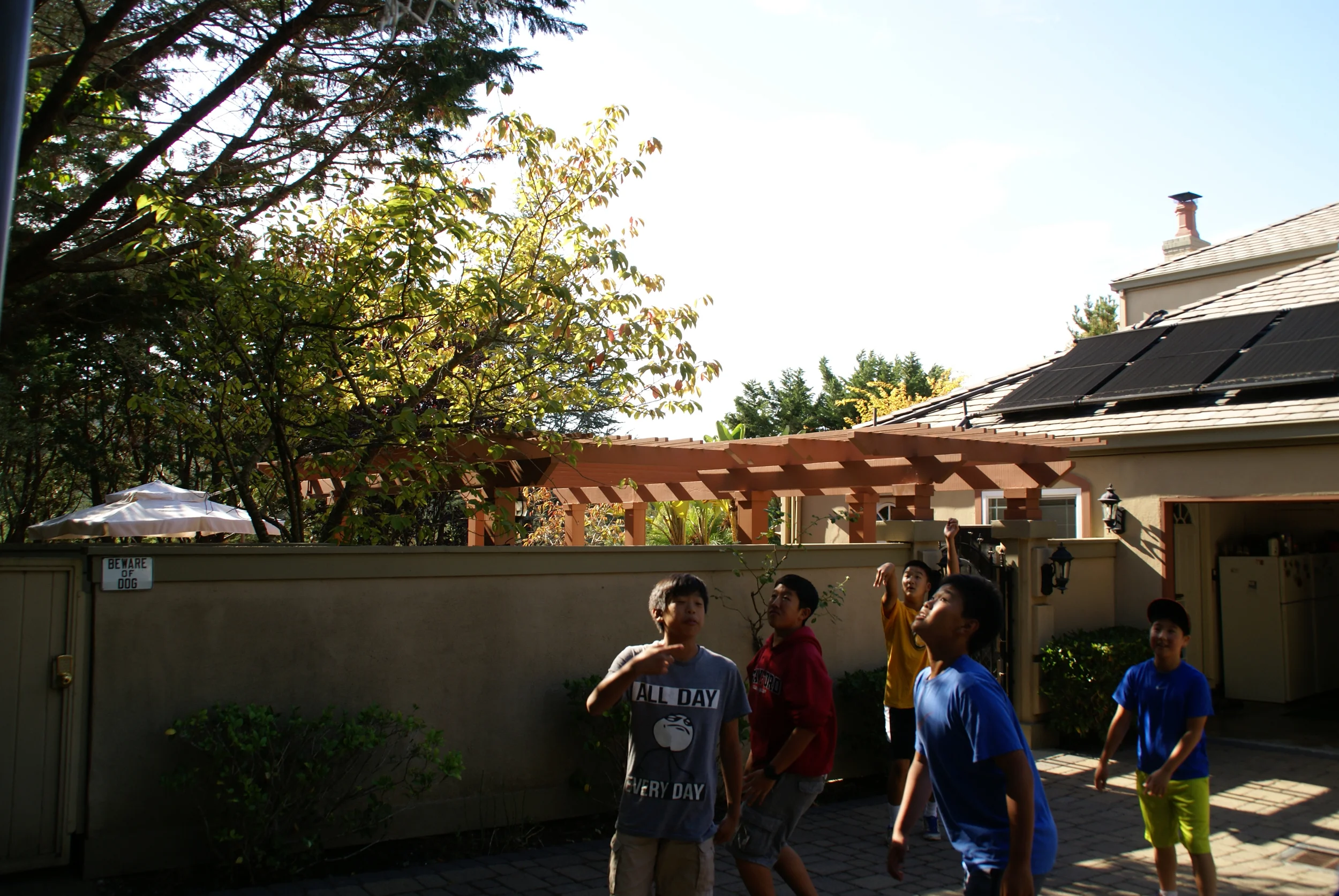 DSC08183.jpg