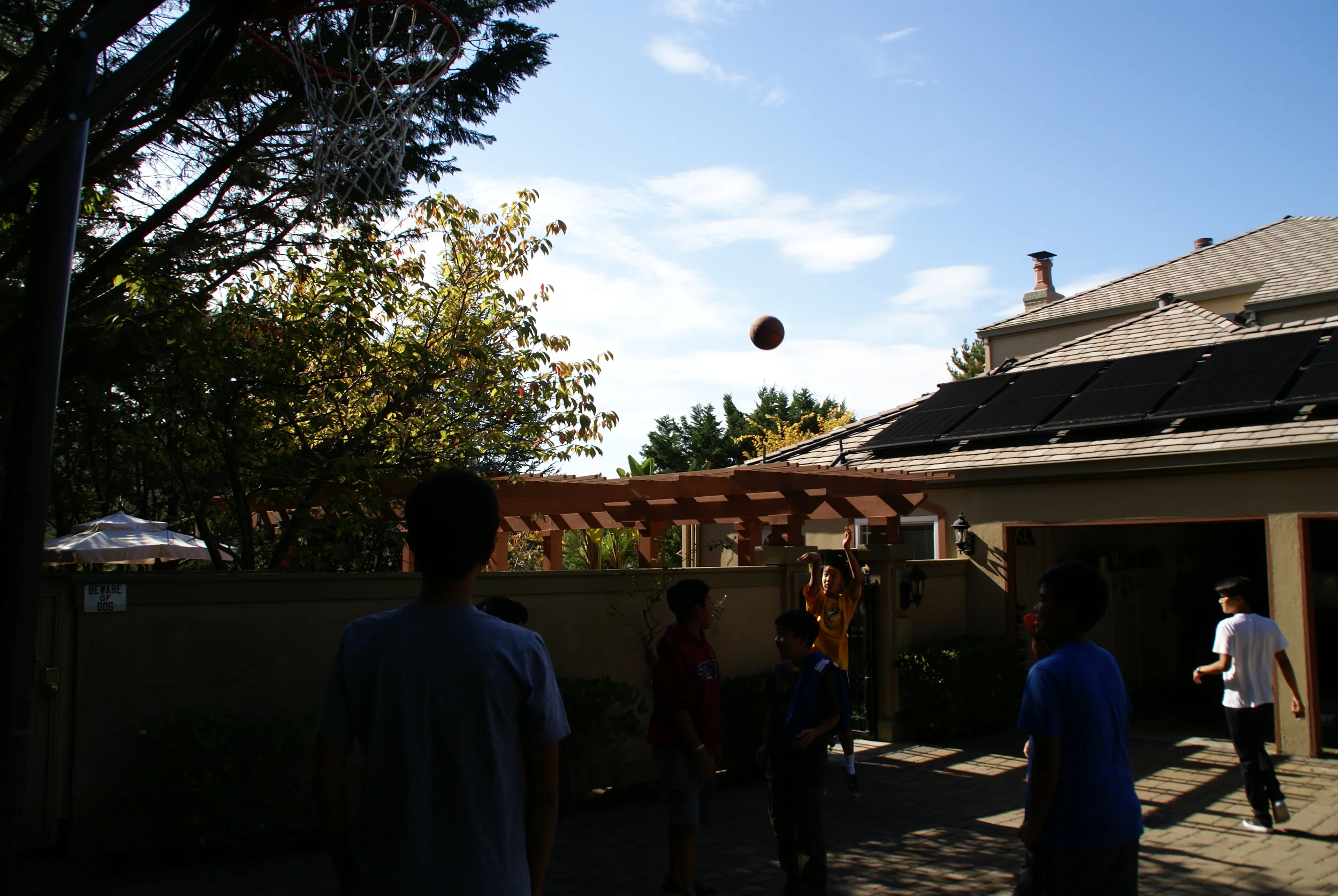 DSC08184.jpg