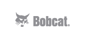 Bobcat_scoll-01.png