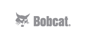Bobcat_scoll-01.png
