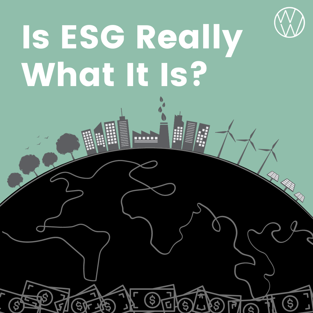 Is ESG Really What It Is?
