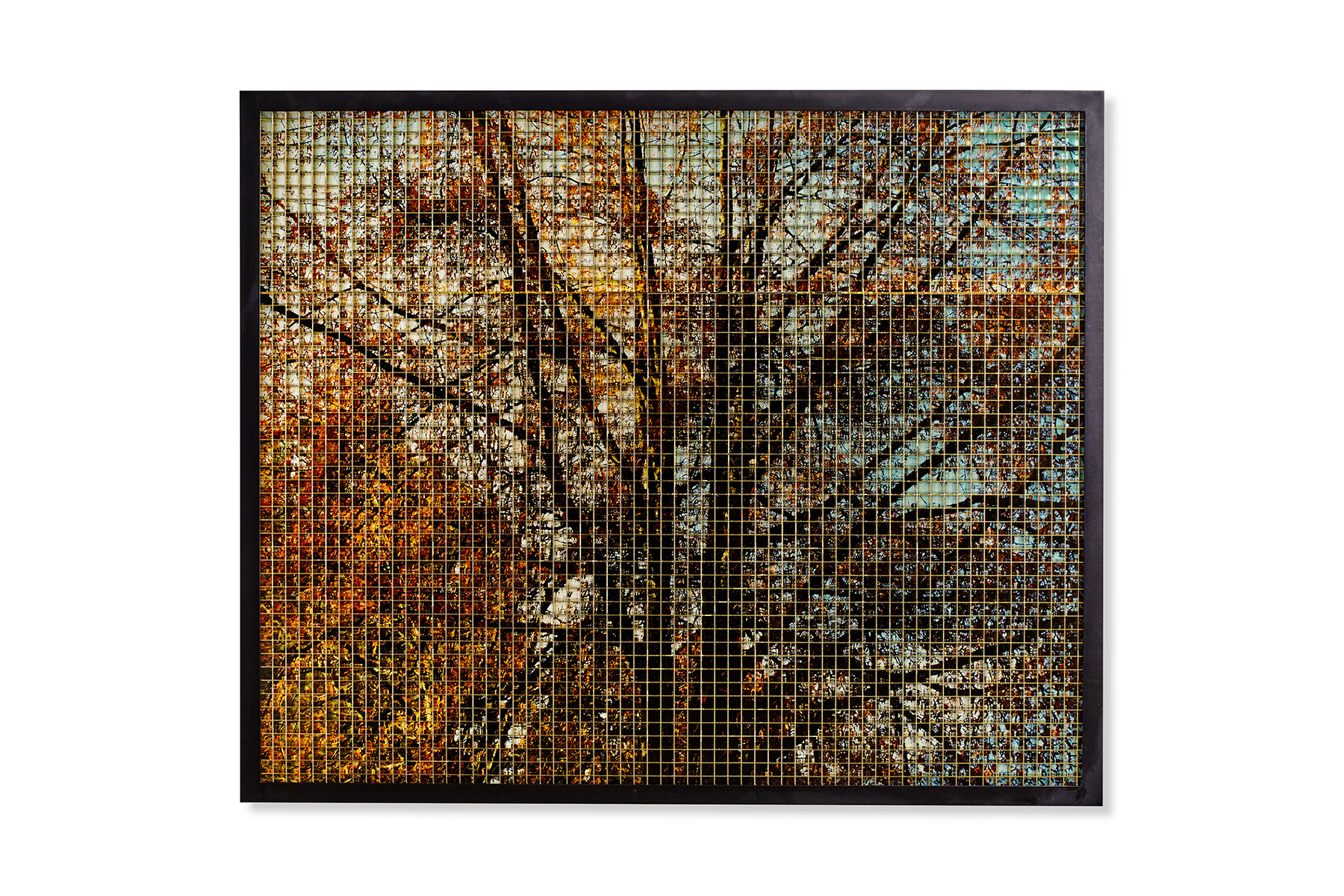 GRID 7, 2015