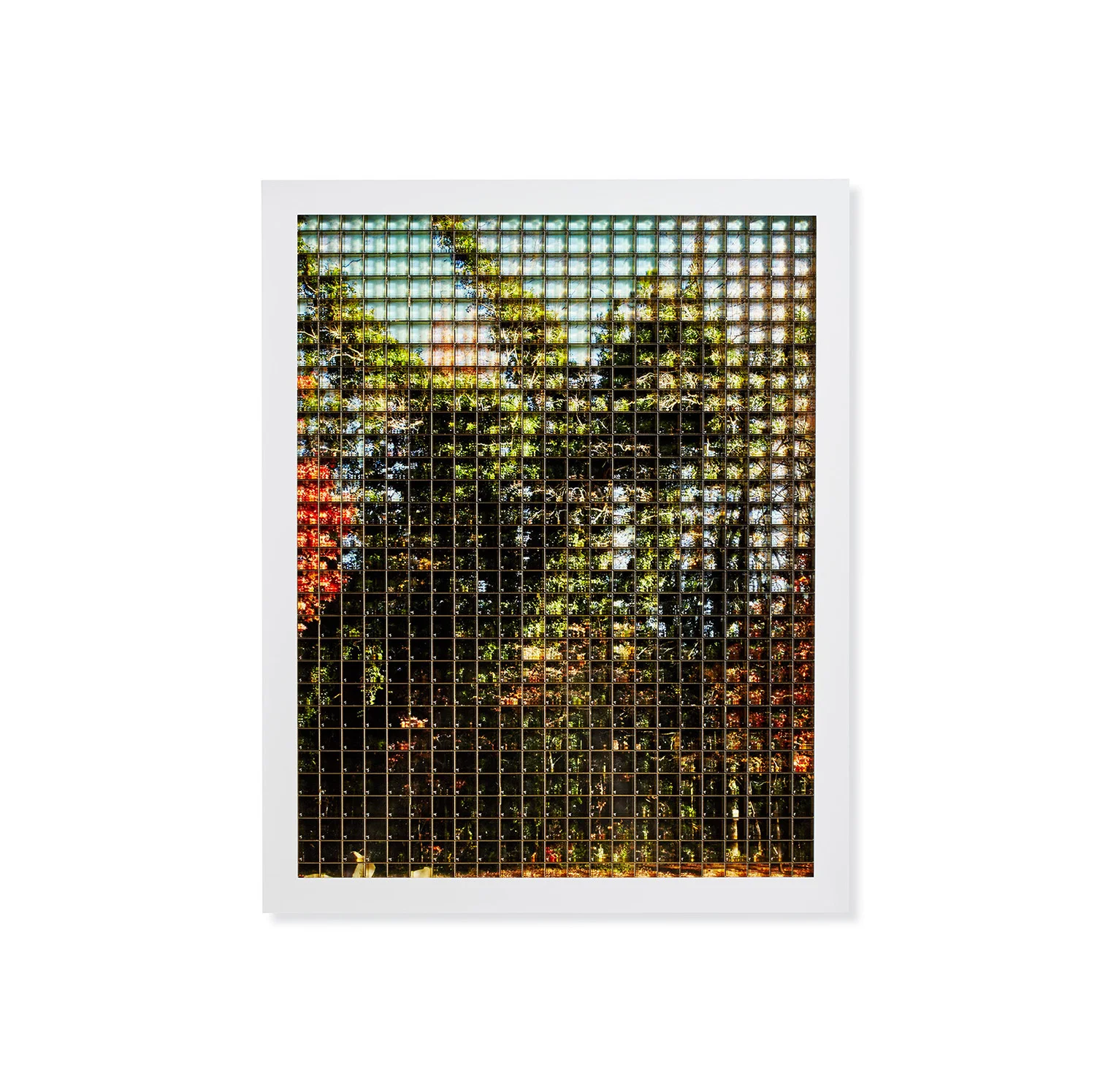GRID 6, 2015
