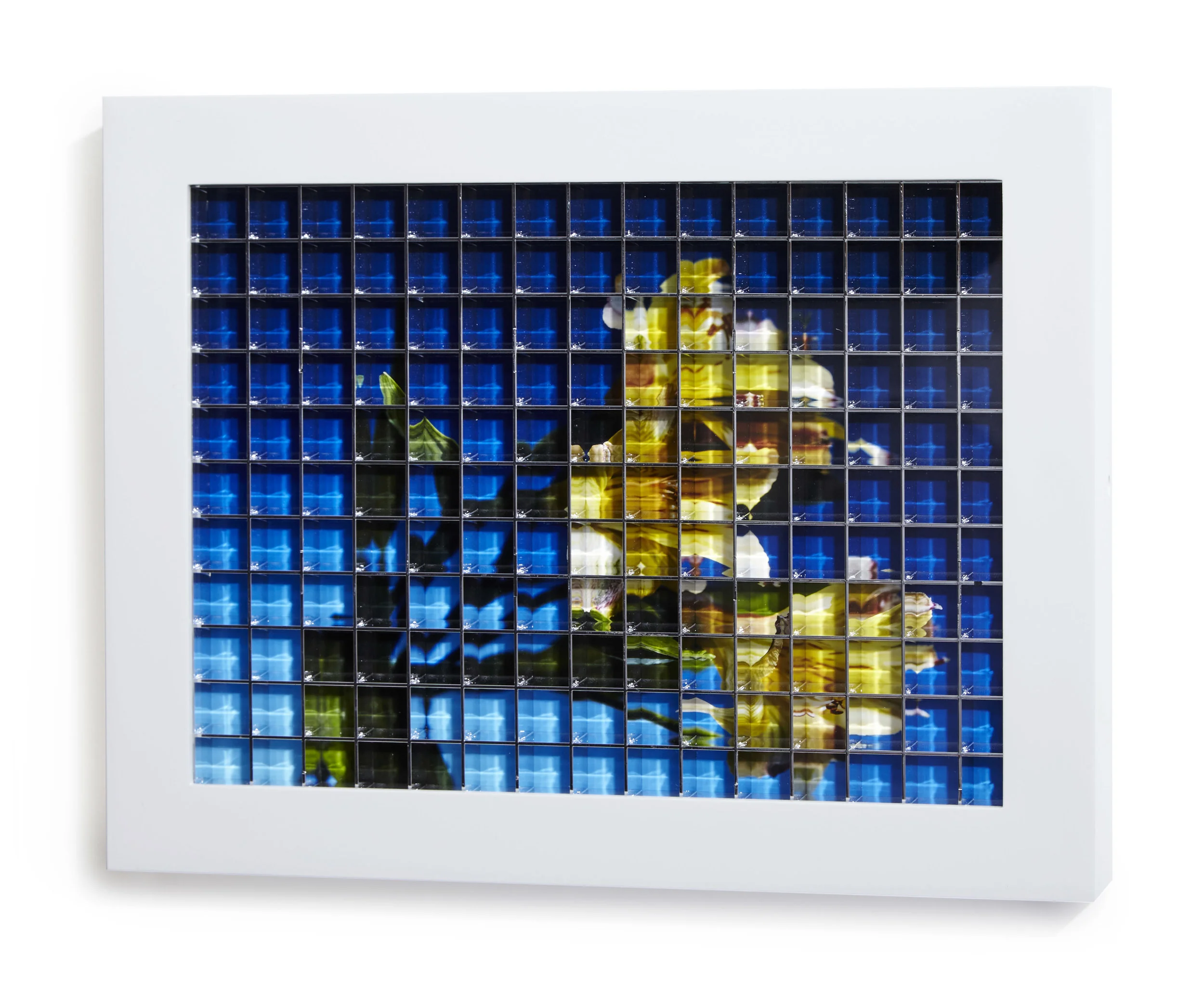 GRID 8, 2016
