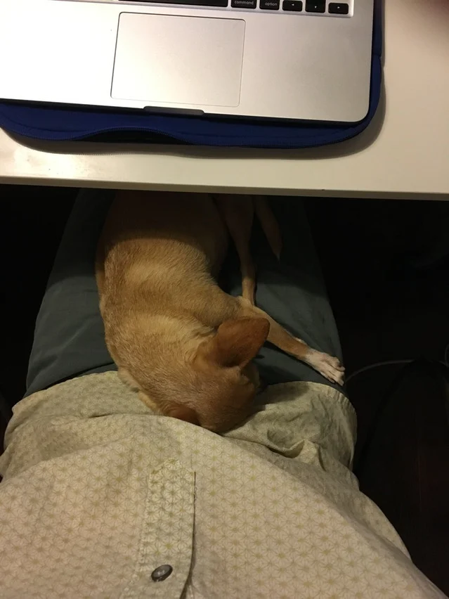 Diane, after she decided she wasn't a writer