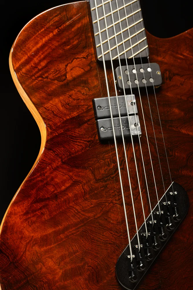 Charlie Hunter 2014 Solid Body: TAKE TWO