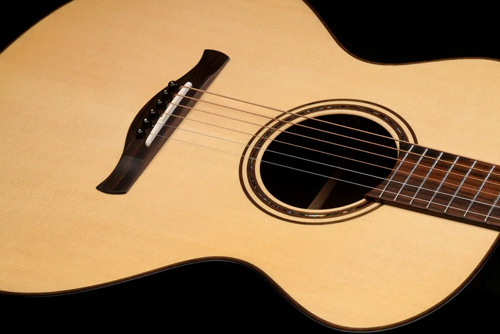 June 2020 Model R: Super rich tone, powerful and loud yet has warmth ...