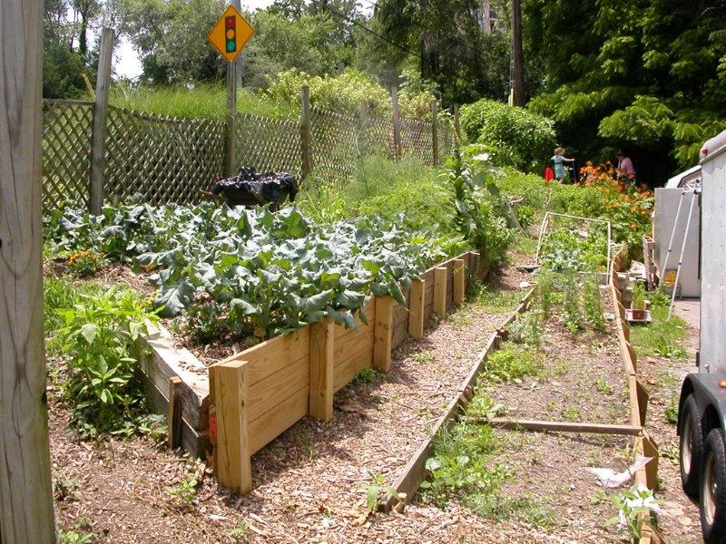 2 Garden in June 013.jpg