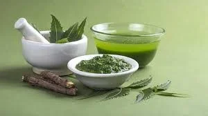 Vaidyan herbs.jpg