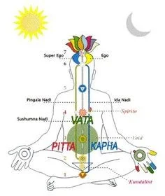 Chakras Ayurveda.jpg