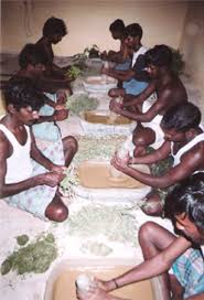 Assistants Prepare Herbs