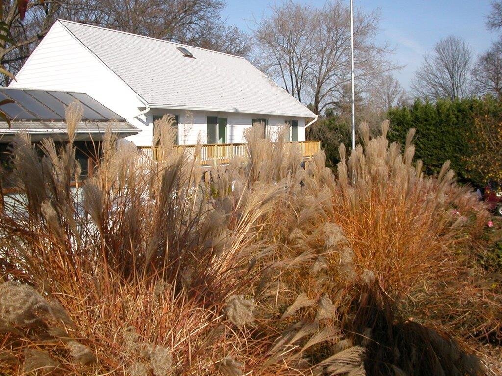 House view in Autumn.jpg