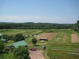 Country Day Trip: Kimberton Farm Tours