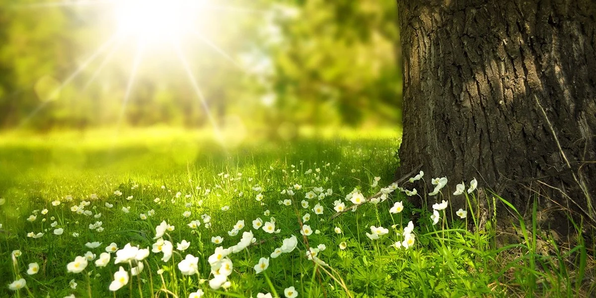 THE MENTAL DIET &amp; POSITIVE THINKING: A Workshop designed by Victor (Vyasa) Landa