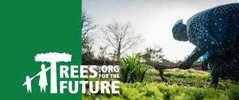 OCTOBER PEACE MEAL with John Leary, Author of "One Shot: Trees as Our Last Chance for Survival"