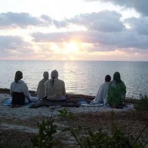 Stakeholder Dialog to Craft the Ashram's Future