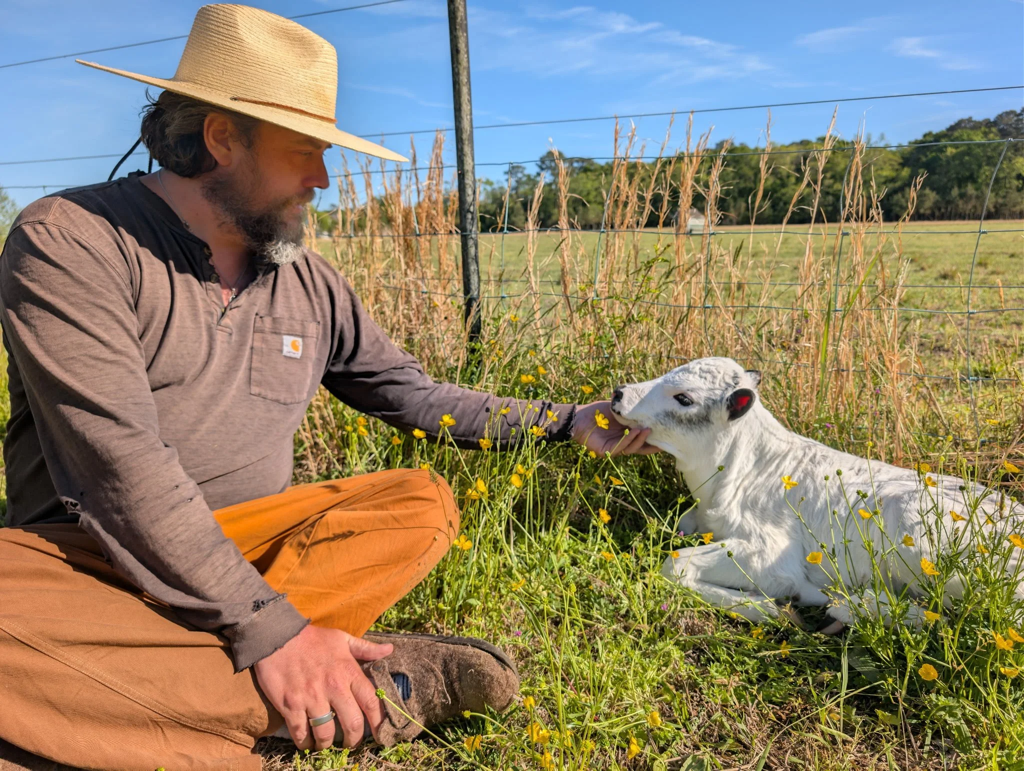 Stewart Lundy with baby calf.jpg