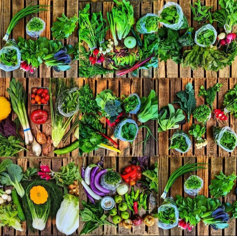 Perennial roots veggie tableaux.webp