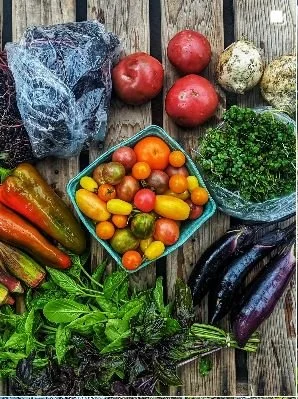 CSA PR veggies.JPG