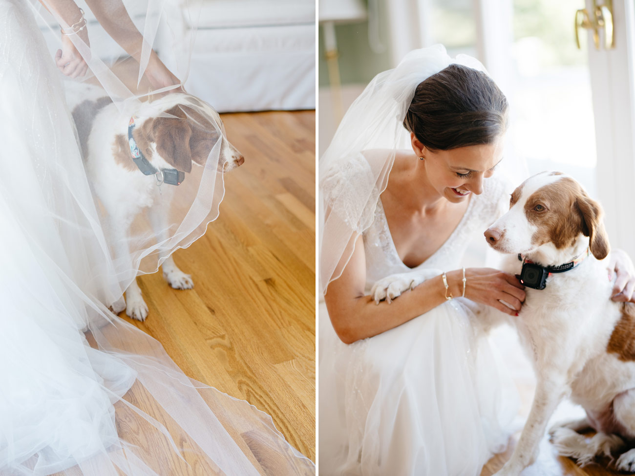 lovely bride and her adorable pup getting ready for the wedding in cape cod, beach weddings