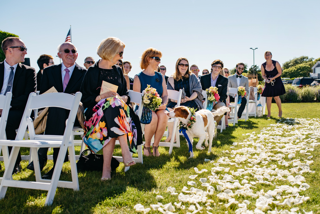 dog going down the aisle in cape cod wychmere weddings cape cod photography