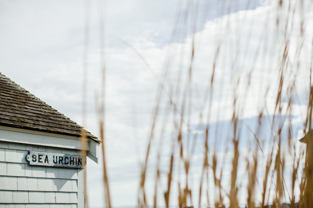 rent the sea urchin beach cabin for p-town elopements