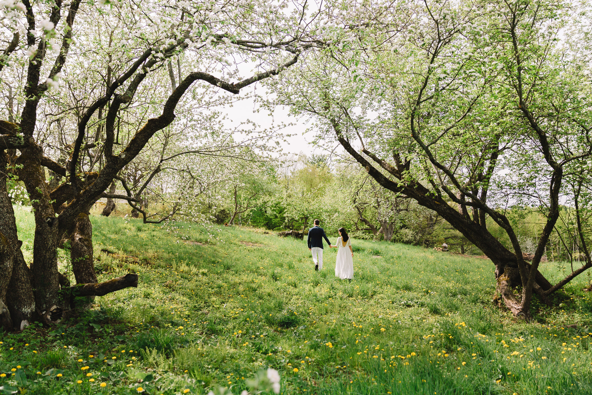 Vermont wedding photographers couple in flowery field walking together