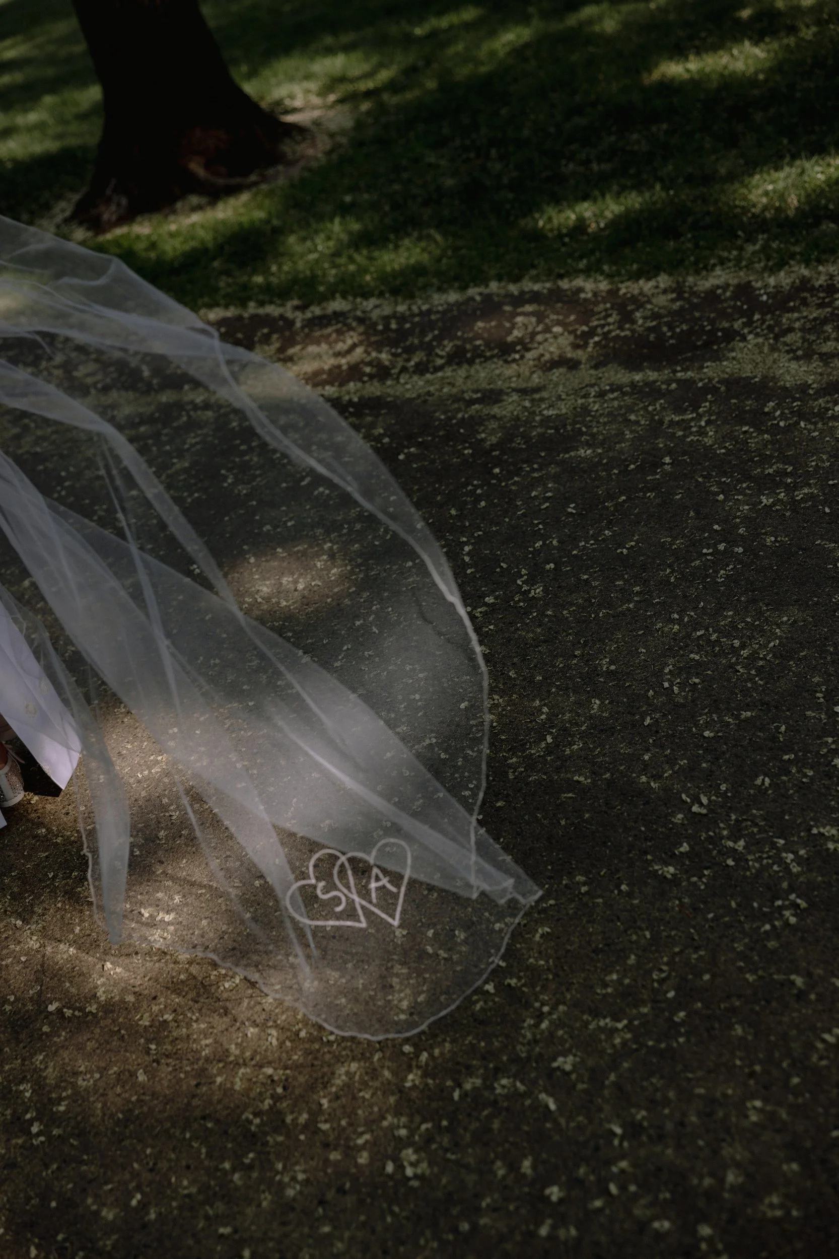 editorial shot of custom embroidered veil in boston