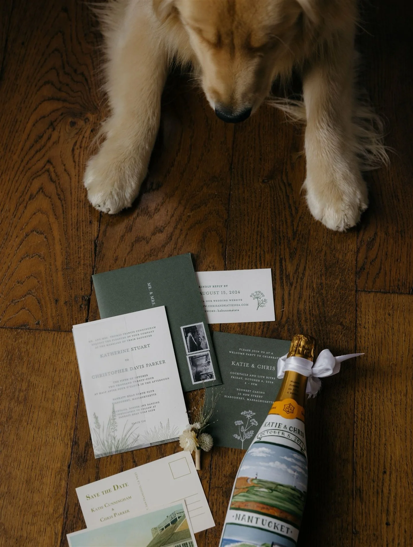 Furry moments mostly