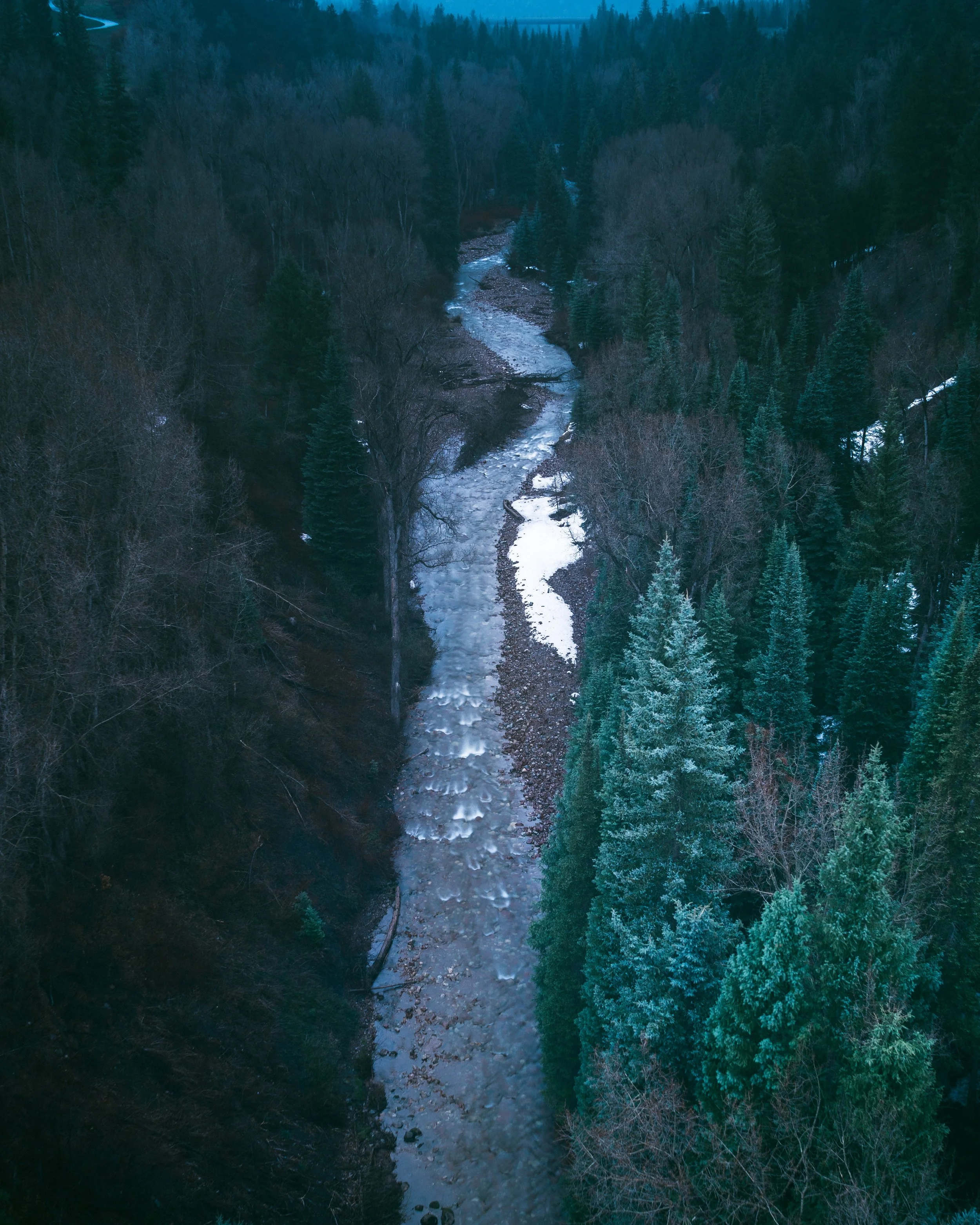 Photo by Hunter Bryant on Unsplash
