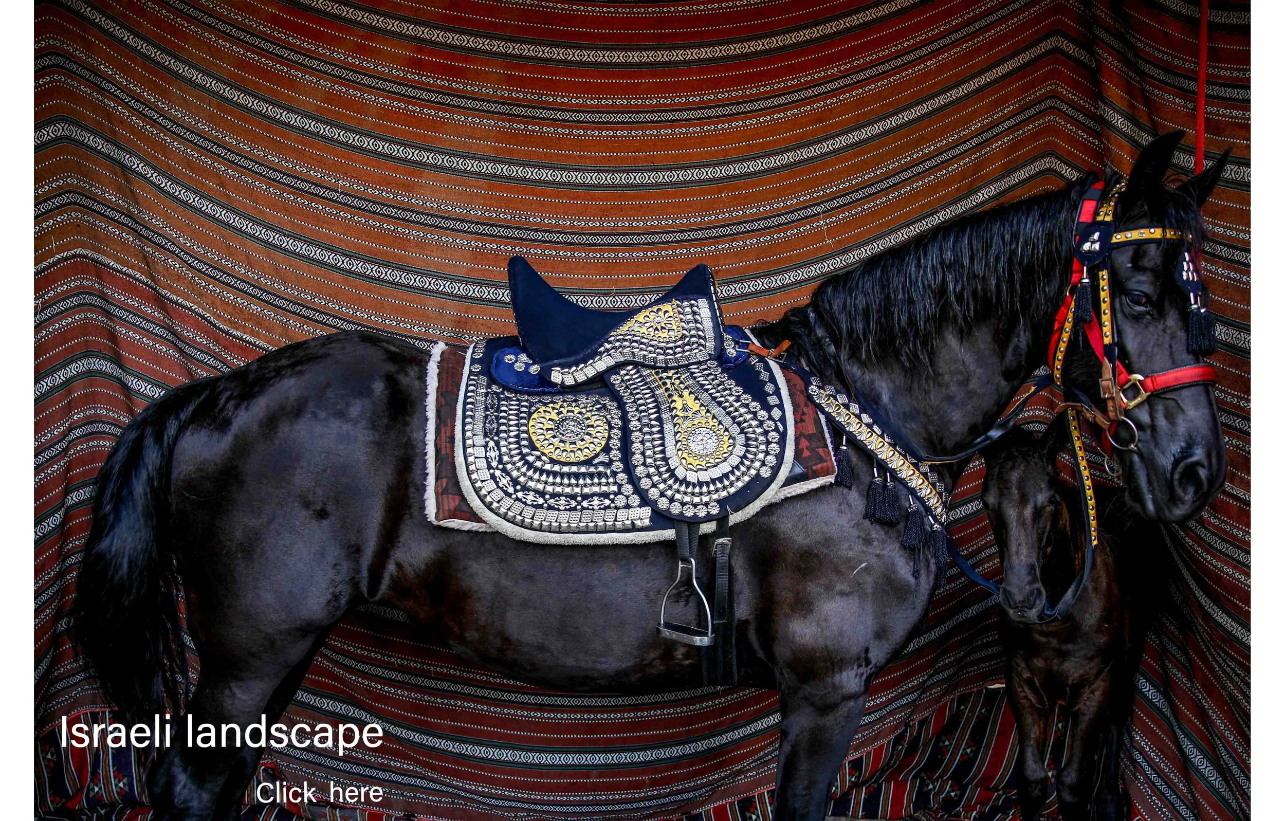 Israel.Landscape.Urbanism.trees.mountains.buildings.blocks.018