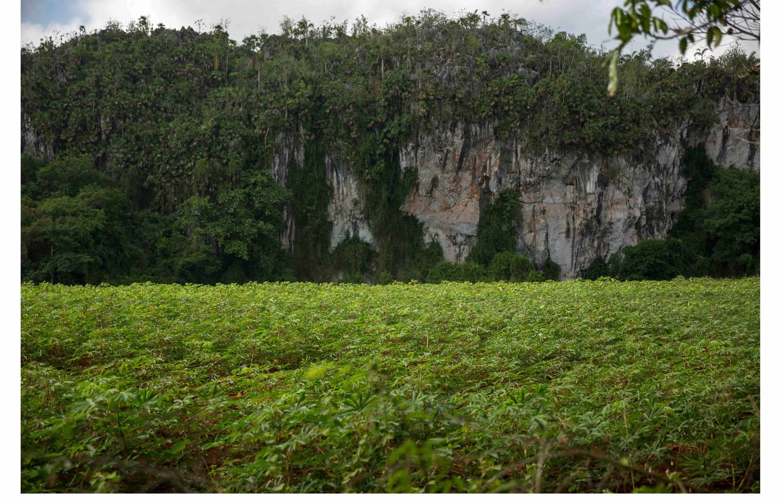 Viñales Valley, Cuba, on April 28, 2016