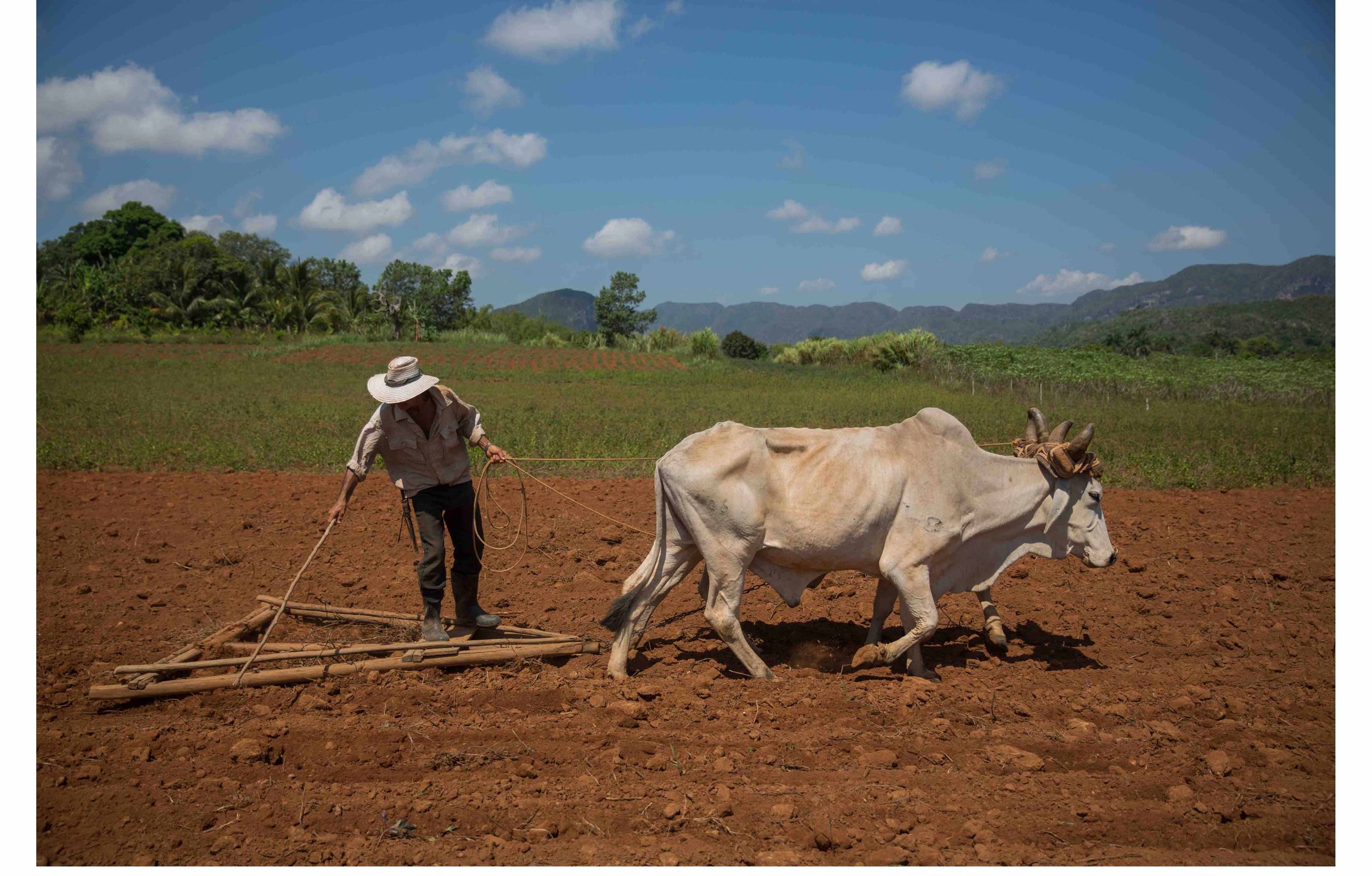 Viñales Valley, Cuba, on April 28, 2016