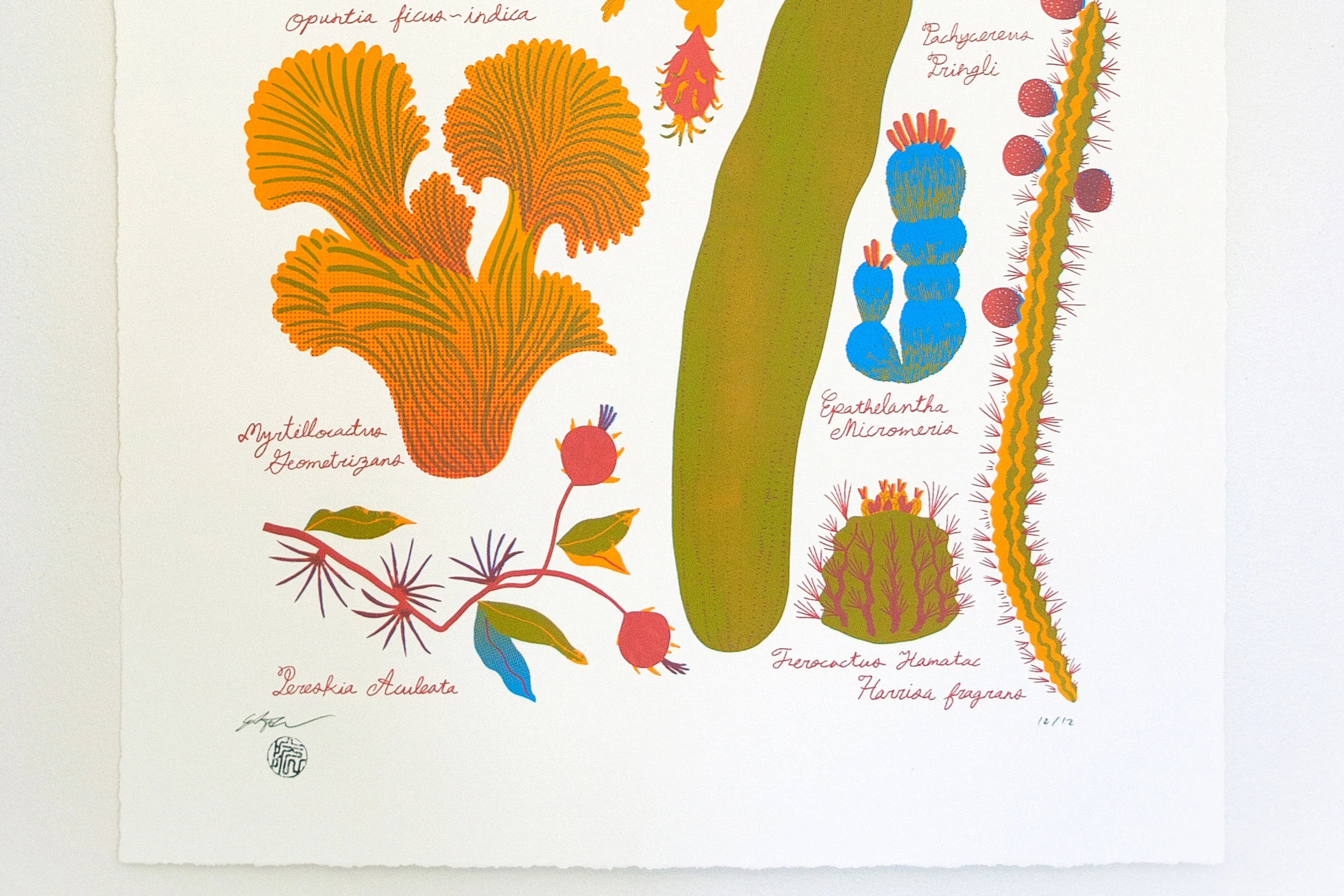 image1.jpg