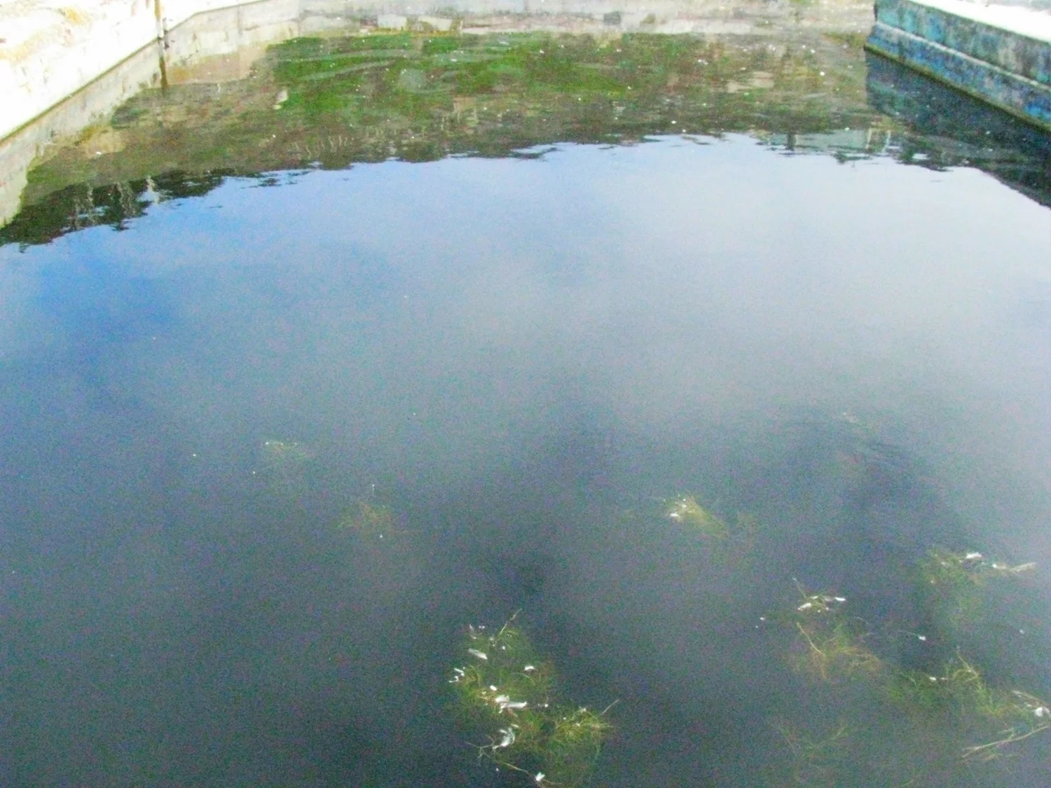 i might not swim in that anymore