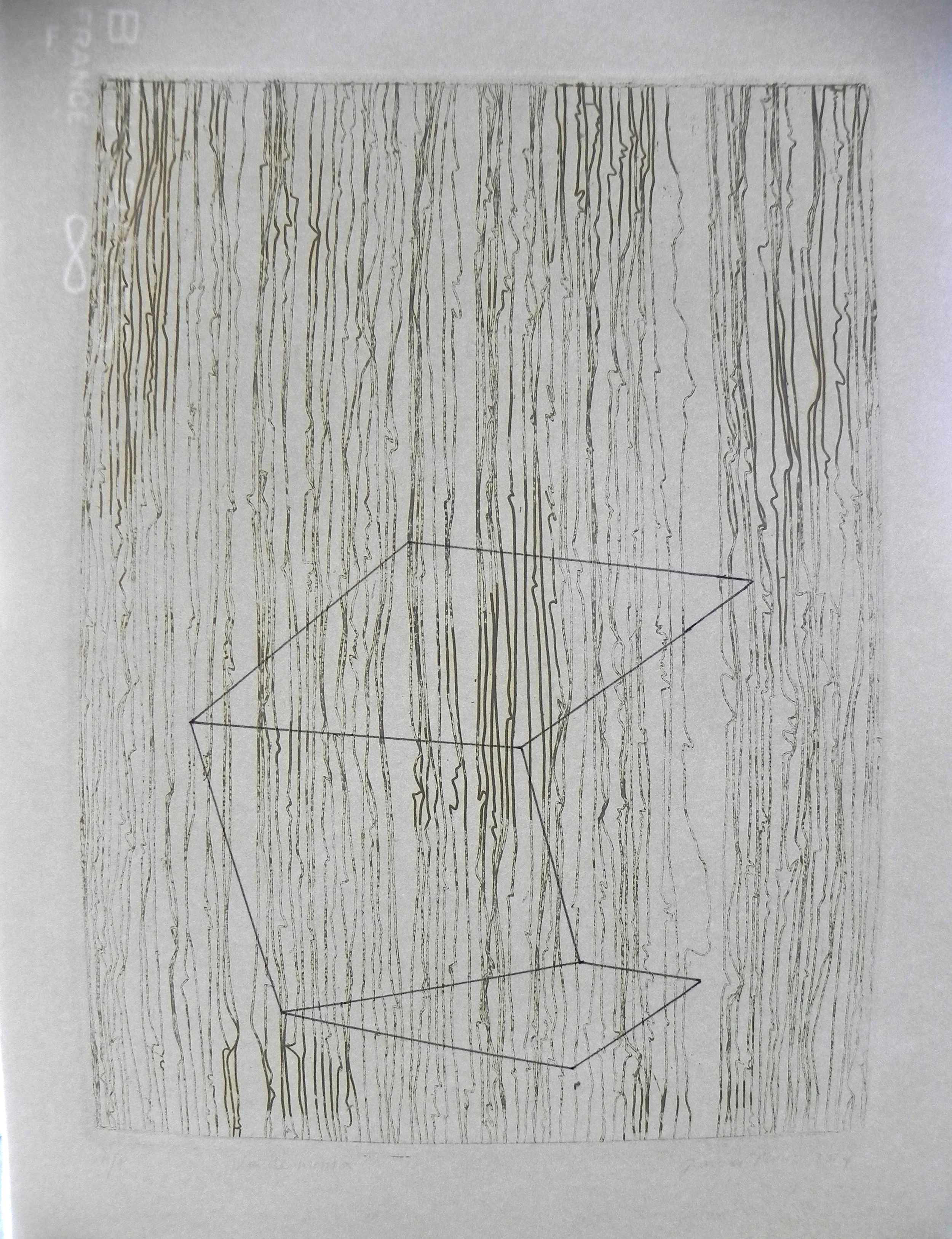 etching by georgina trevino