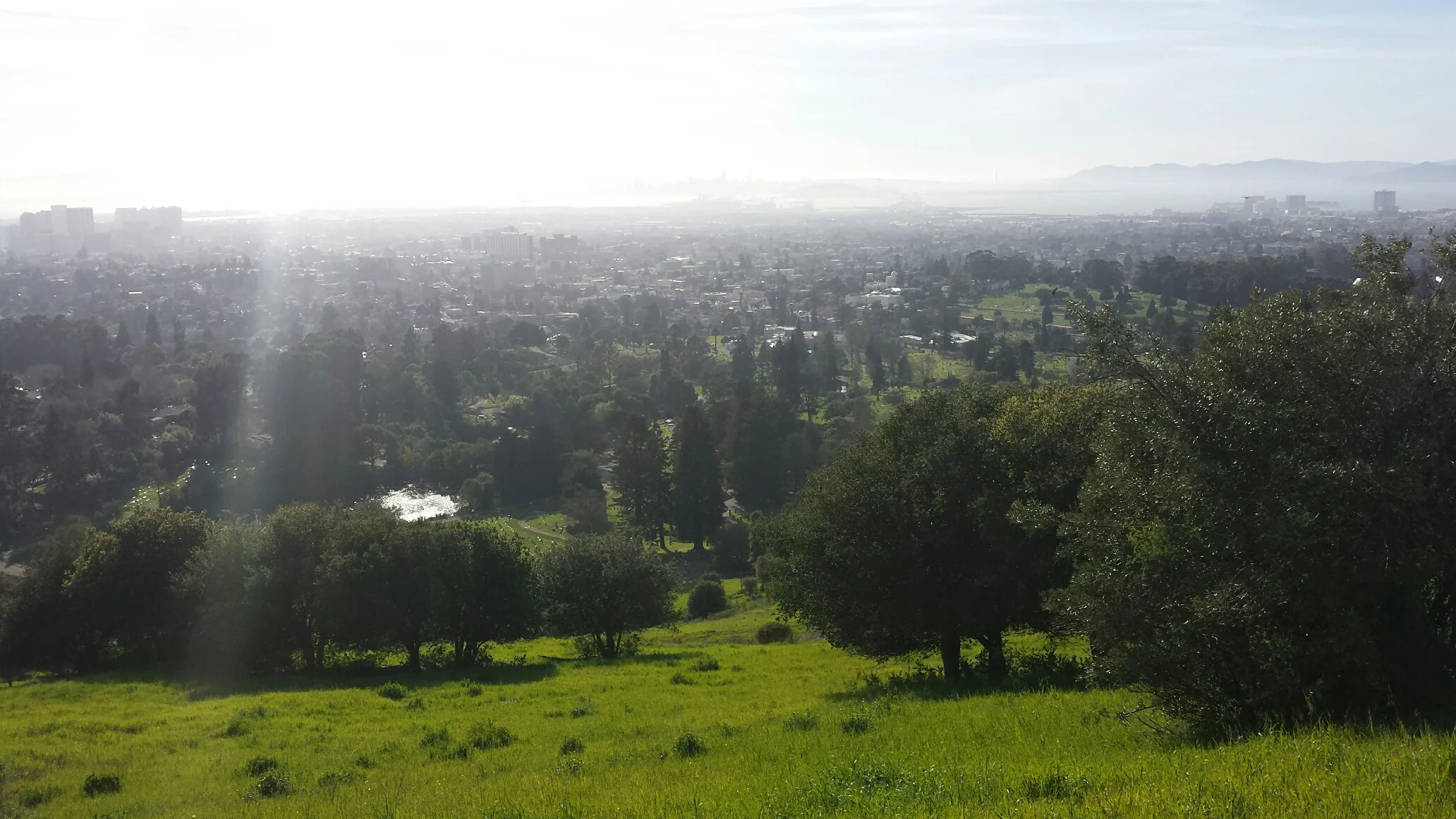 Oakland from the top of the cemetery