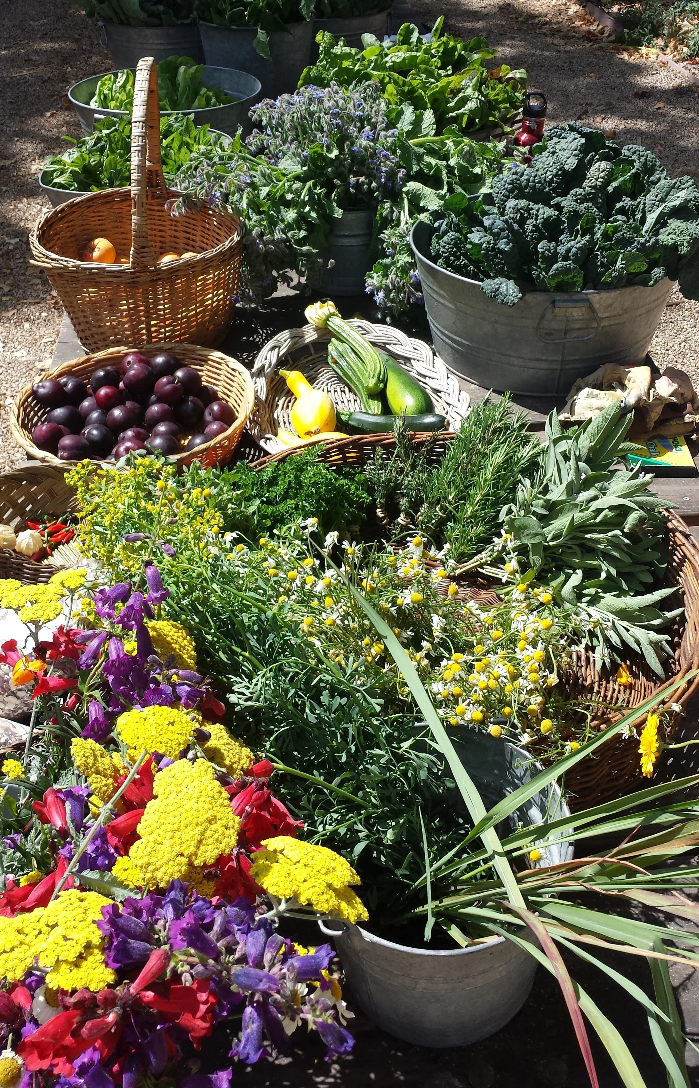 Farmstand offerings a few weeks ago. 