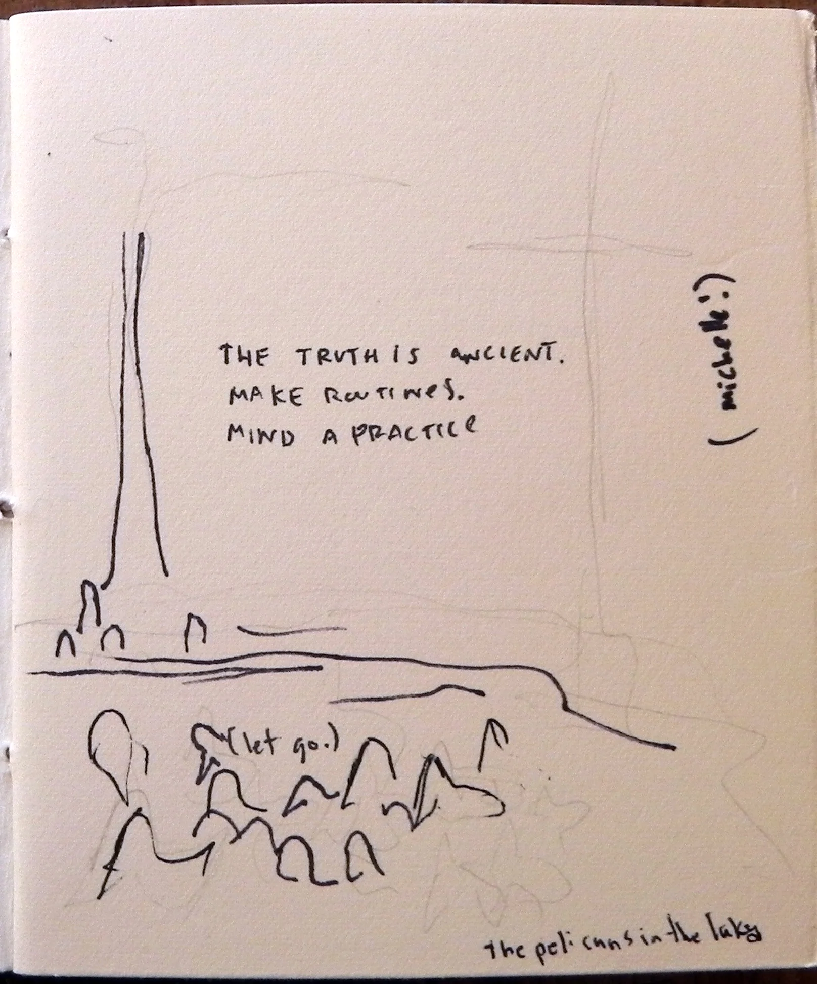 We'll come back to this. Nevermind that I can't draw pelicans.