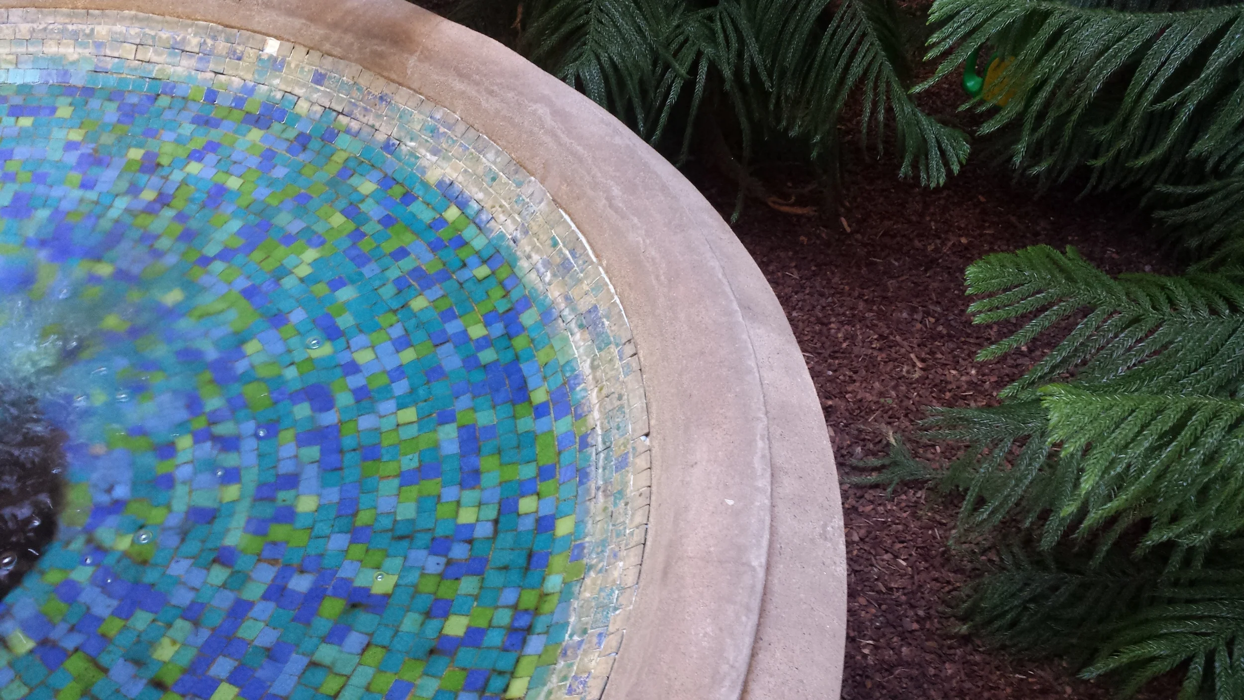 Best Moments of 2015