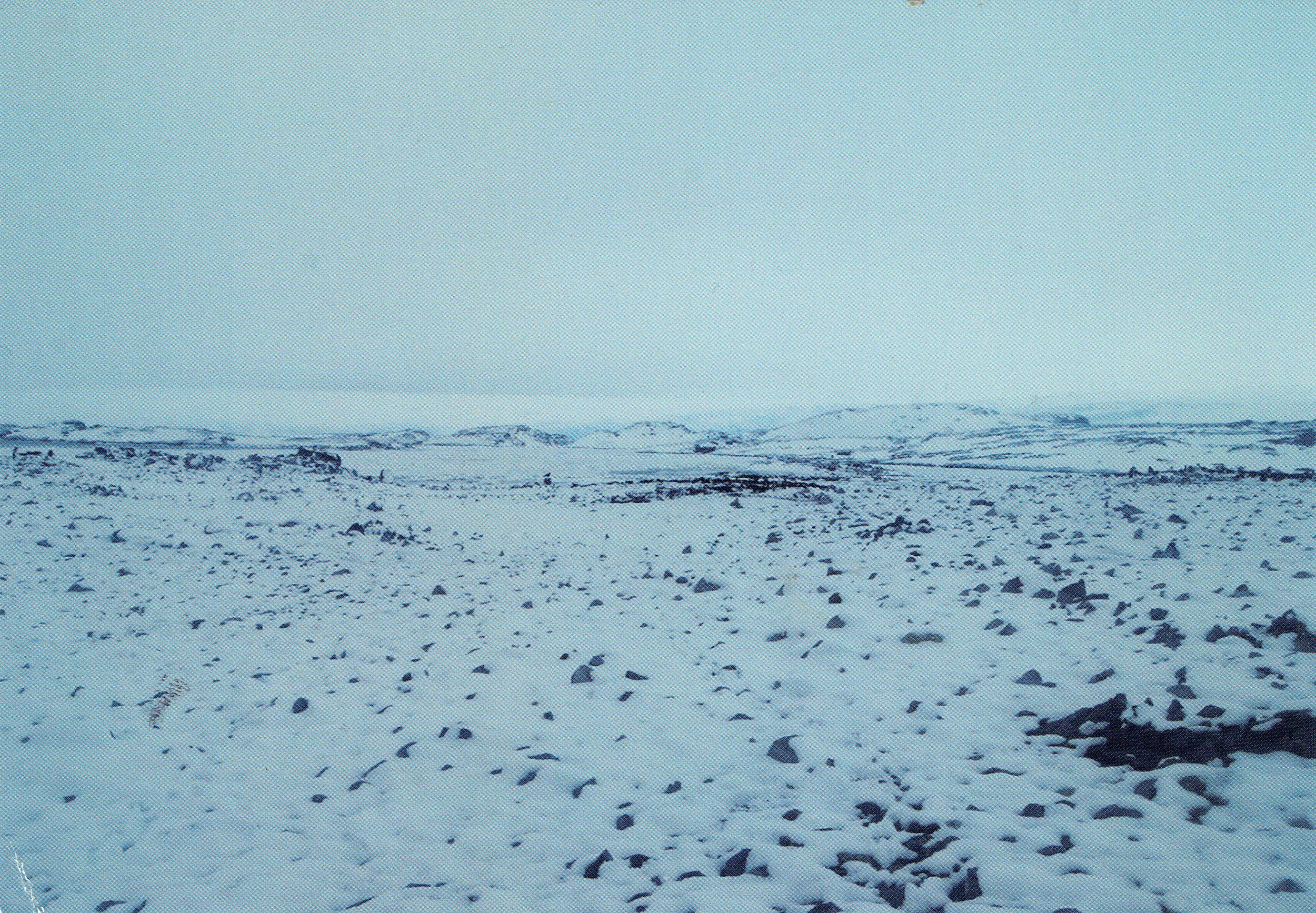 origninal photo by allyson comstock