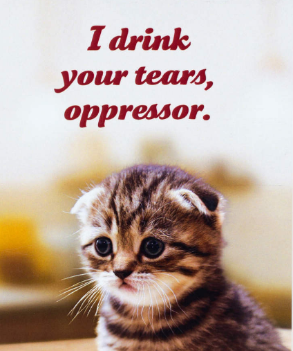 image from the Social Justice Kitten collection by Sean Teharatchi