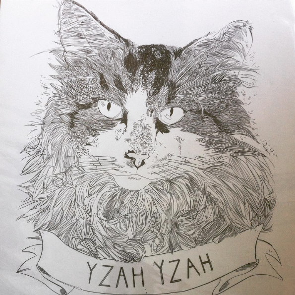 a portrait of my cat by steve, a birthday gift for andy g.