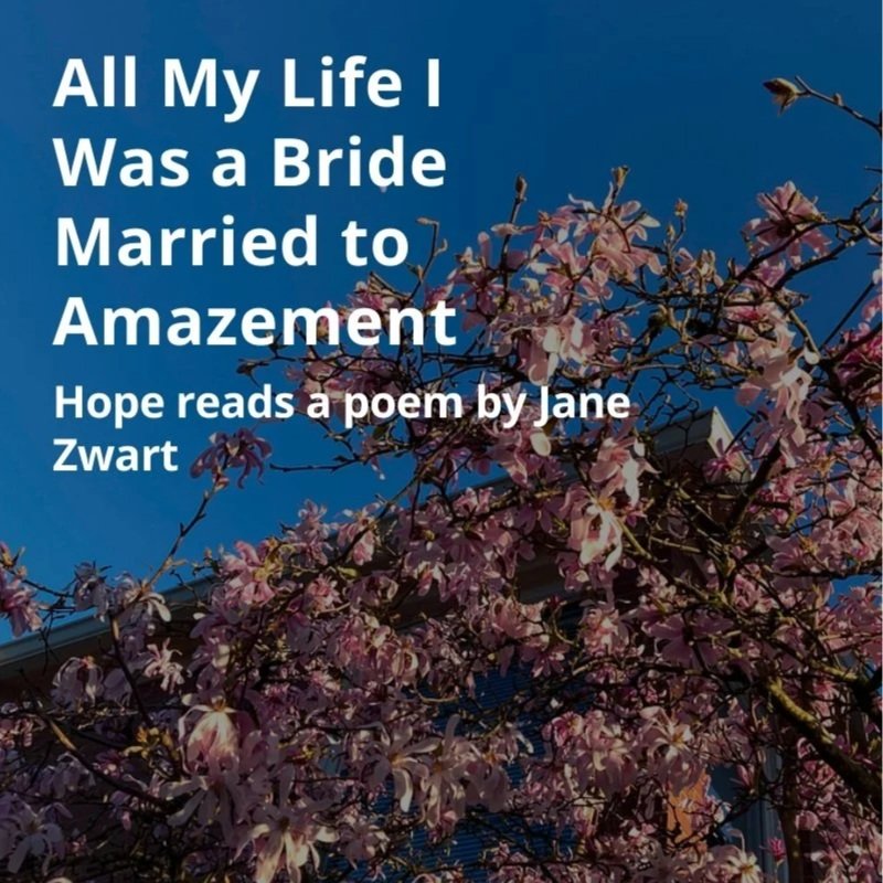 sunday night poetry! 